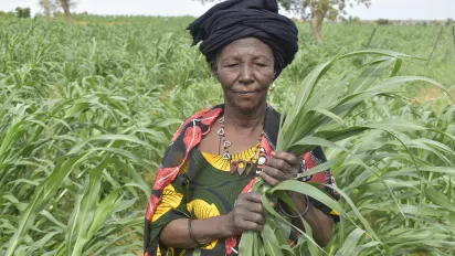 Woman  holding corn stalks