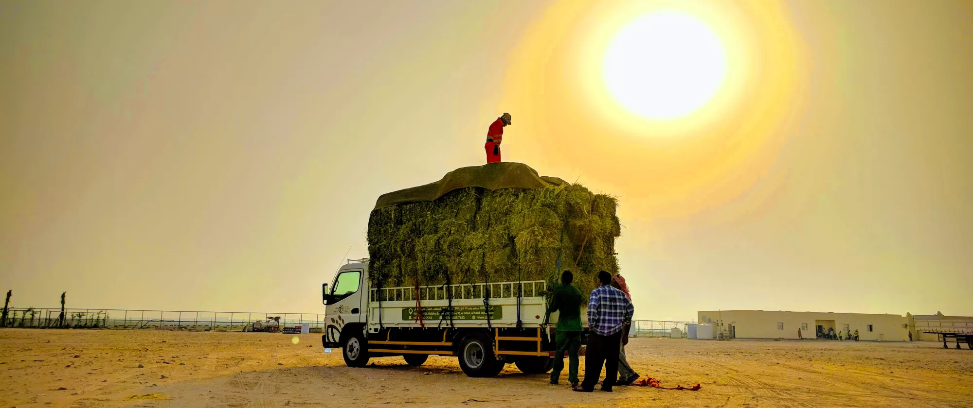 Workers stand next to a truck under the sun