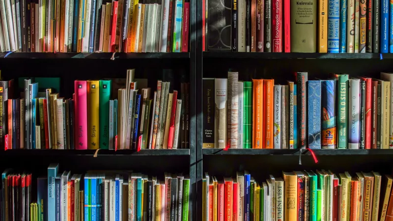 Picture of a book case.