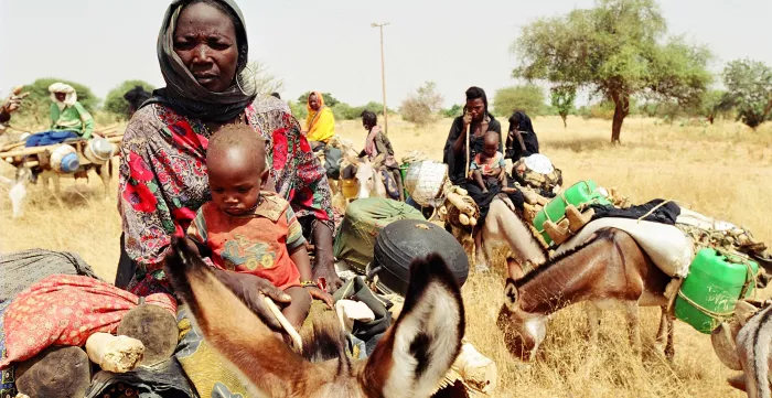 Migration group guardians in the region of Abalak.