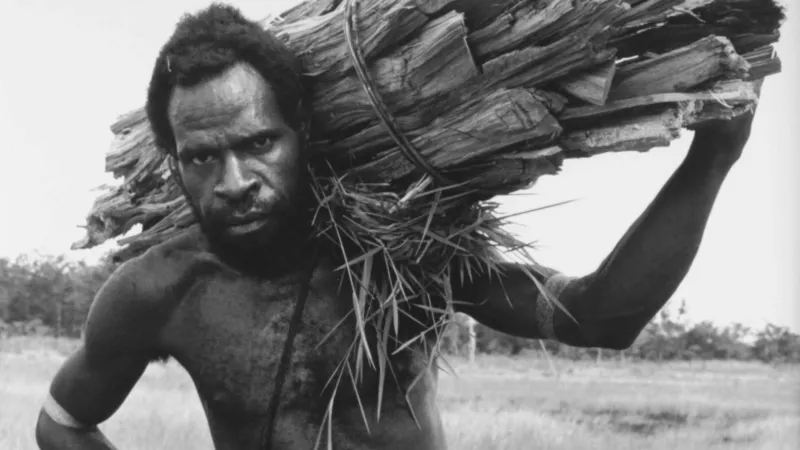 Man carrying a heavy load of wood